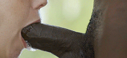 Daily Portion Of Black Cock