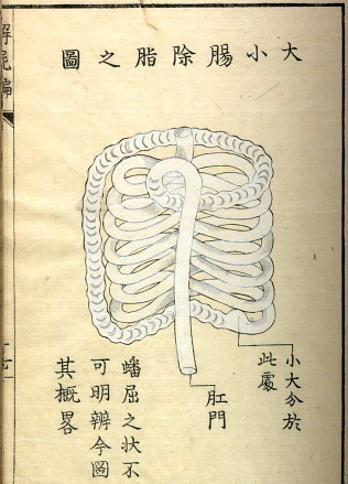 Kaishihen (Dissection Notes), 1772. Edo-Period Japan.