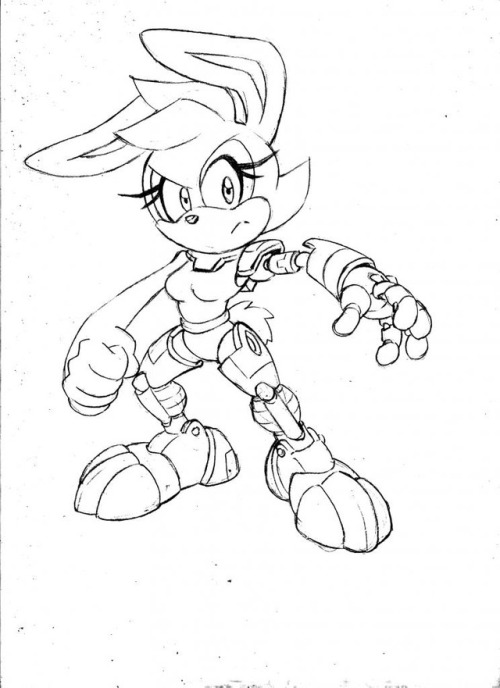 Concept art, model sheets, comic art, and render of Bunnie Rabbot from Sonic the Hedgehog.Album imgu