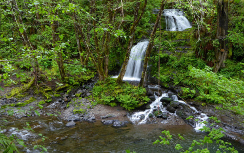 Wilson River Trail, 20170512 by kepPNW