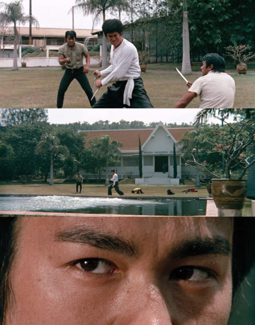 The Big Boss aka Fists of Fury (1971)dir. Lo Wei / dop. Chen Ching-Chuii/ii