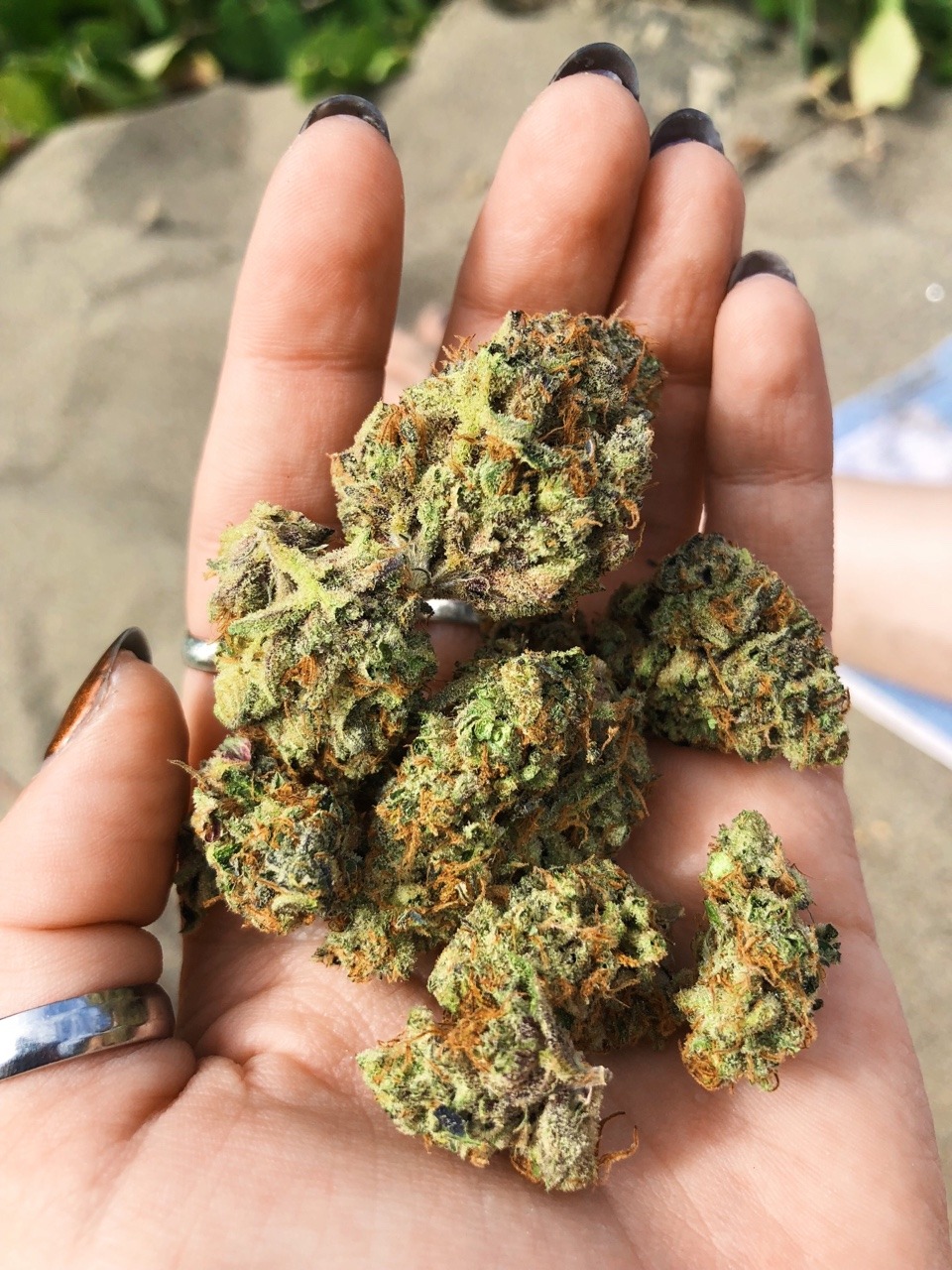 hazeydabs:  views🌿💨