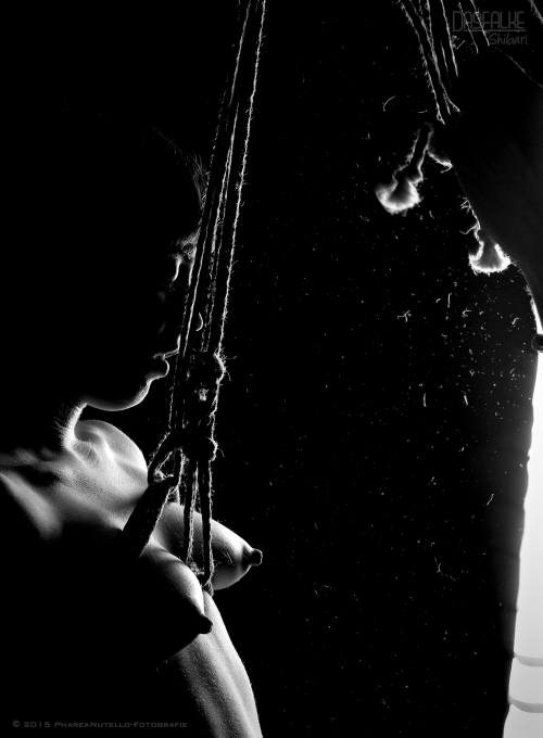 dasfalke-shibari: “Harsh Light” Featured Rope Partner: Fiona Vvautrin. Shibari and Editing: DasFalke