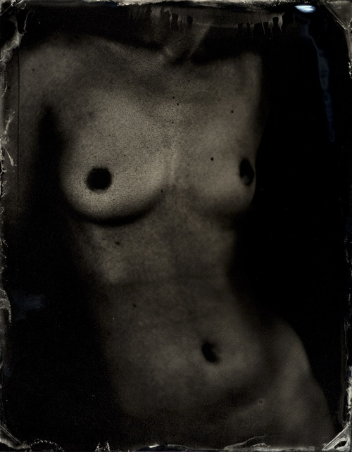 Porn photo  Niniane Kelley ph. - tintypes torso 2012