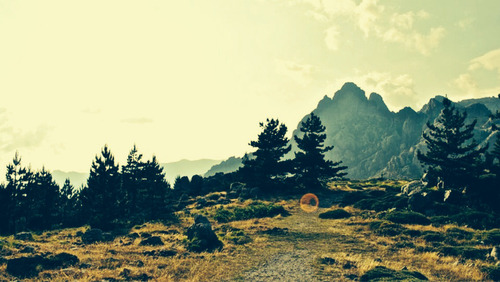 owakolf:  Nature Blog 