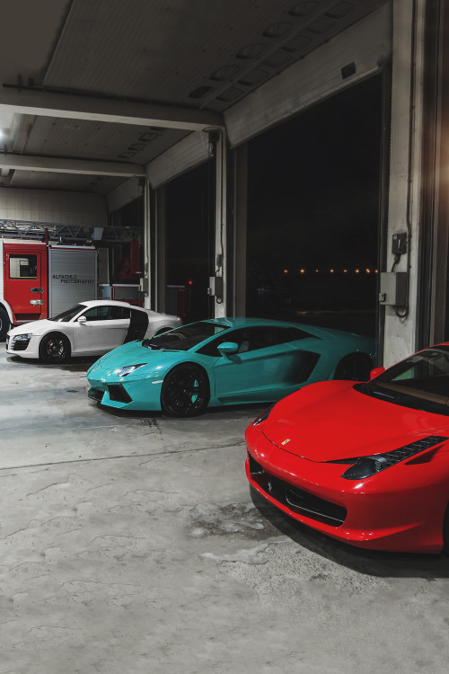 envyavenue: Which Car Will You Choose? /  Hamad Al-Fadhli