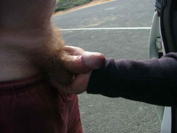 gltbears:  ilovebearsposts:  http://ilovebearsposts.tumblr.com/archive   I would too!