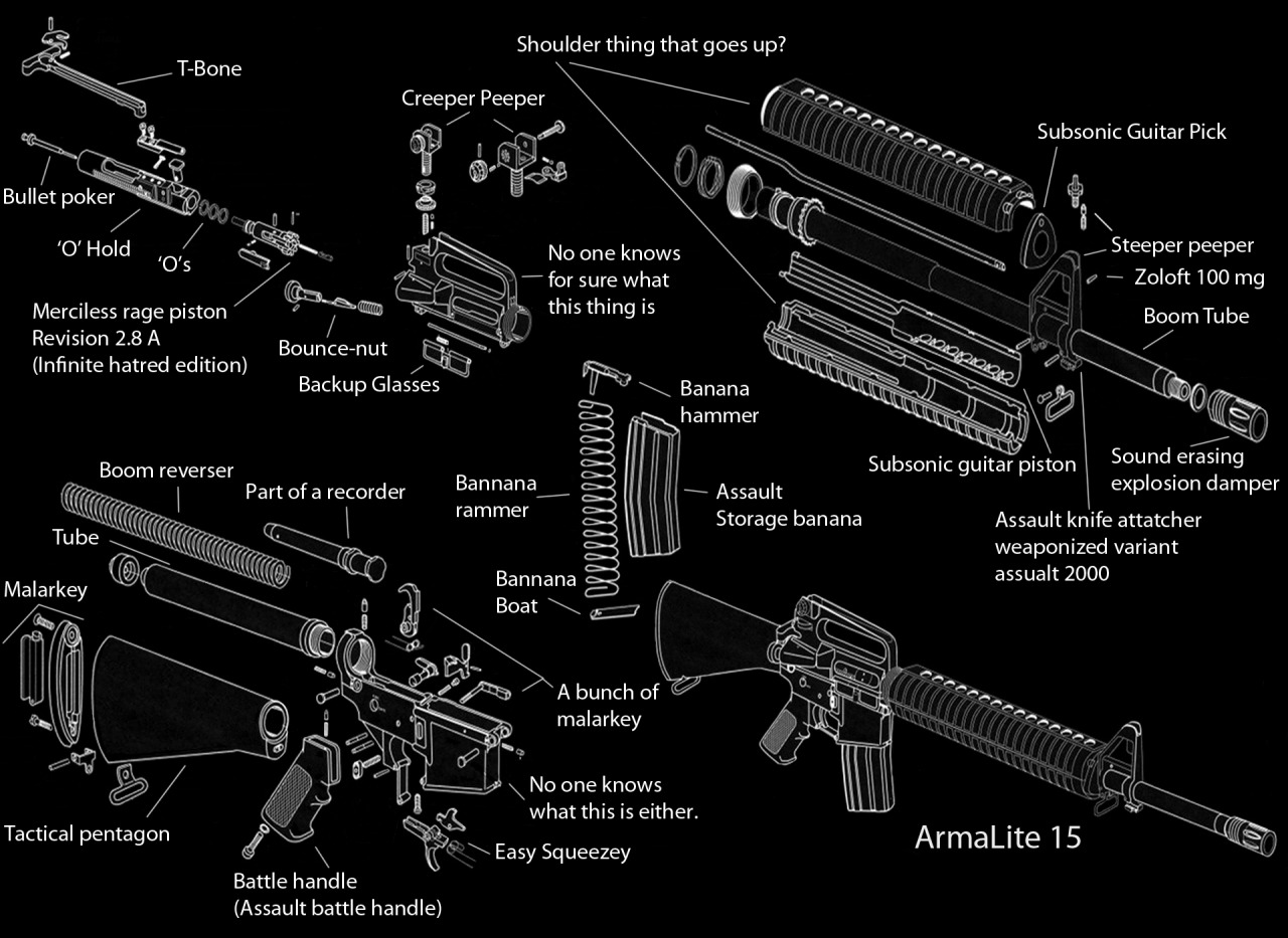 jakepants:  This is how I think most people view the AR family of rifles. For the