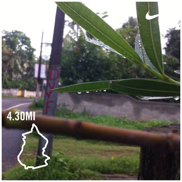 #Seenonmyrun Yet another late start, 7am, but went for a run anyway. Yesterday’s rain has left behind some cool temperature and tears on the plants. Was a cool, short run. Enjoying this weather..,, #runnersoninstagram #womenrunninginindia...