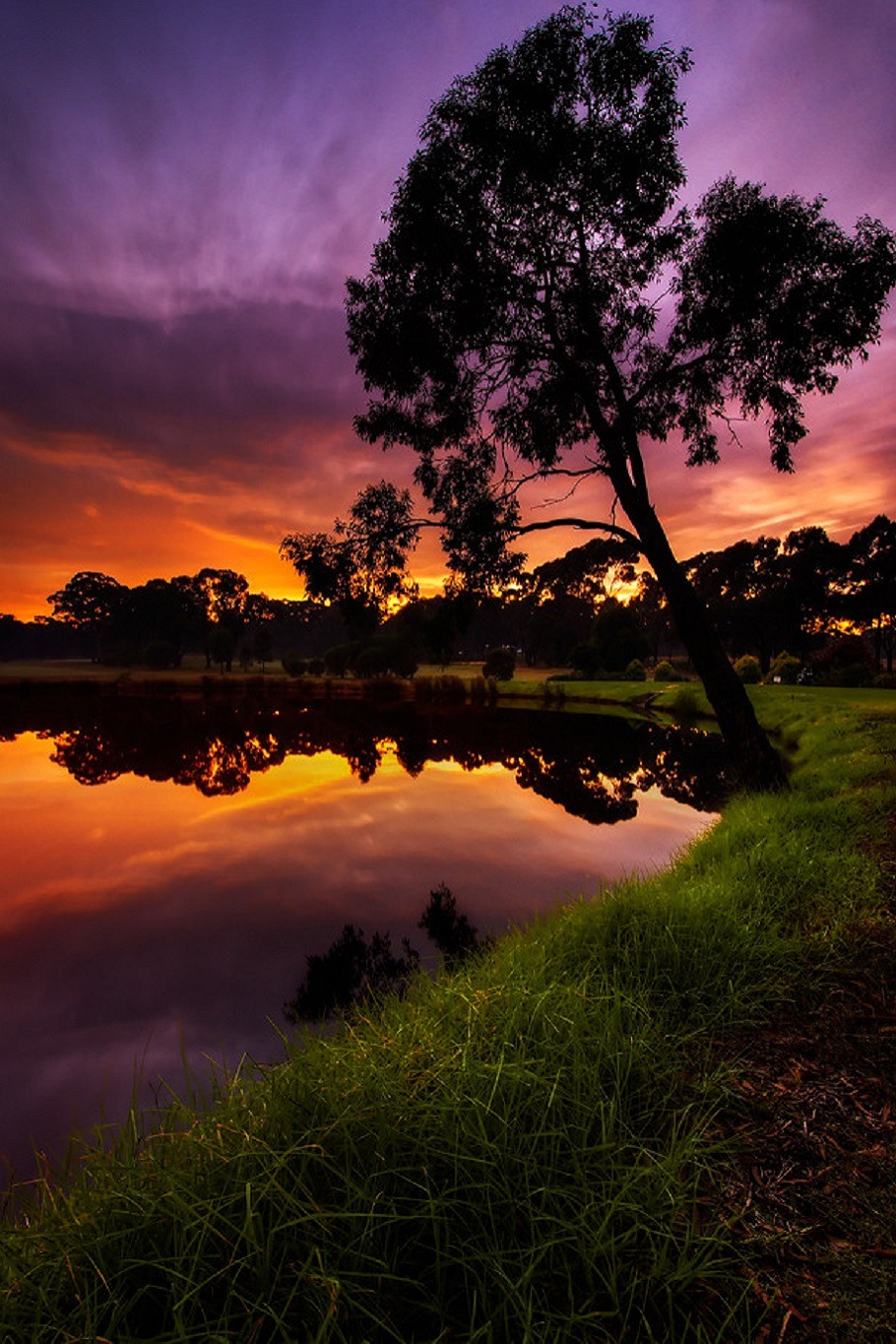 sublim-ature:  Bendigo, Victoria, AustraliaLincoln Harrison 