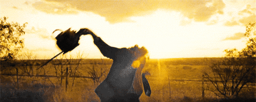 nostlaco:  The Texas Chain Saw Massacre | 1974  &ldquo;We can dance if you want