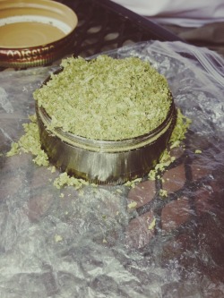 thc-princesss:  filled brads grinder with