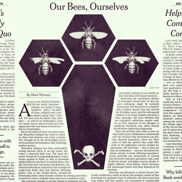 katie-scott:
“Illustration for NYT
”