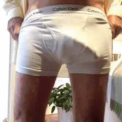 harryo957:  show us your daddy dick….