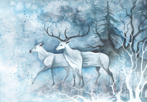 Deers and does. Watercolours on paper. https://www.instagram.com/sieskja.raevflicka/