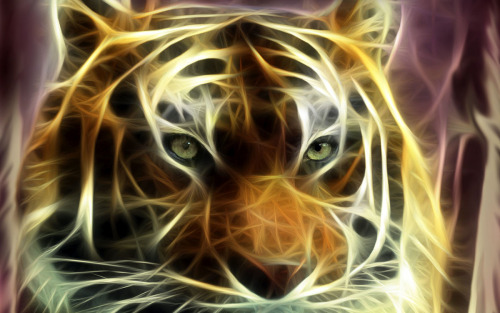 Animals Drawn With Light.