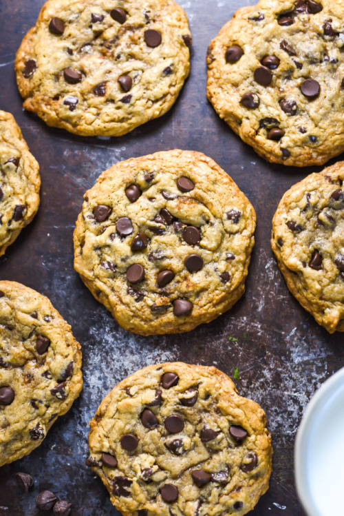 sweetoothgirl:THE BEST CHEWY CAFÉ-STYLE CHOCOLATE CHIP COOKIESVacation goals