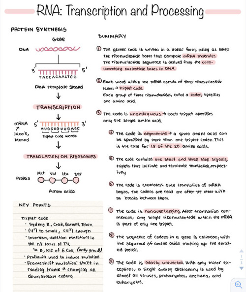 Some tablet notes on RNA transcription and processing