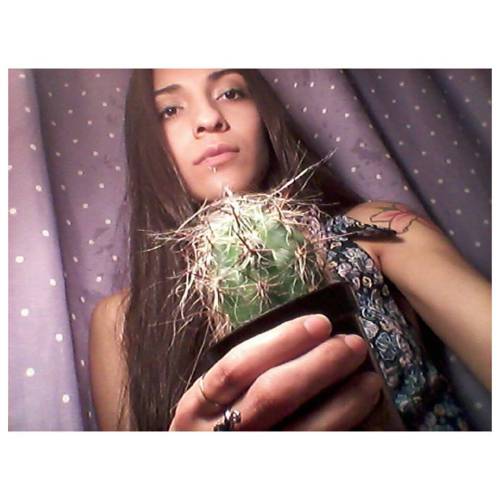 Hairy Guy  Old man cactus of the Andes / Oreocereus celsianus #oldmancactus  ▫▫▫▫ •≪≫≪≫♎≪≫ ≪≫♎≪≫≪≫• 