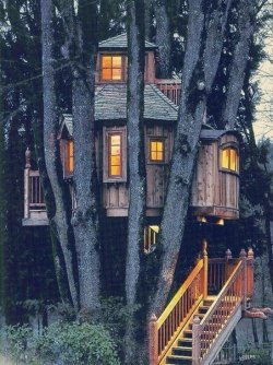 catiebriehart:  Epic tree house!!!!!~CATIE~