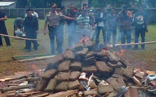 weedporndaily:  Police Accidentally Get an Entire Neighborhood High with Marijuana Bonfire(HT) Indonesian police recently lit up 3.3 tons of marijuana outside their West Jakarta office, and subsequently got residents and journalists covering the incident