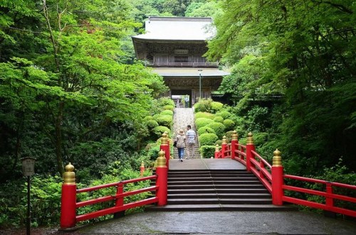 雲巌寺 by *suika * = Temple in Green taken June 16, 2019 (yesterday) @雲巌寺、大田原市・黒羽・栃木県 flic.kr/