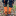 whitesockfella: