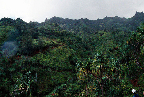 greaterland:  Kaua’i 