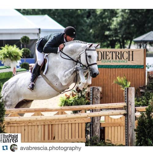 theplaidhorsemag:  #Repost @avabrescia.photography with @repostapp. ・・・ #tbt IHDF Championships