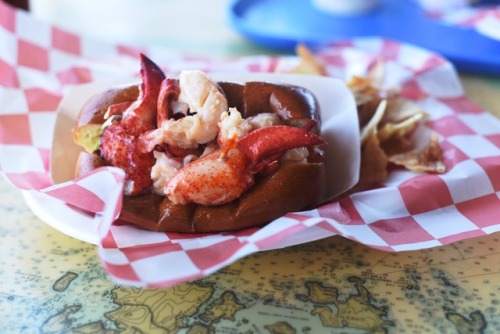 30th September 2019 - Not a good place to be a lobster, Beal’s Lobster Pound, Acadia National Park, USA