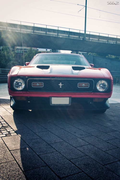 musclecarsfans:  Follow For Muscle Cars Everyday