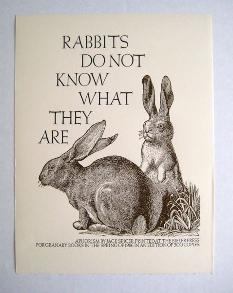 Sex rrrick:  Rabbits don’t fool themselves pictures