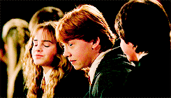 leiaorrgana:  Harry hadn’t counted on this; he had meant them to understand that