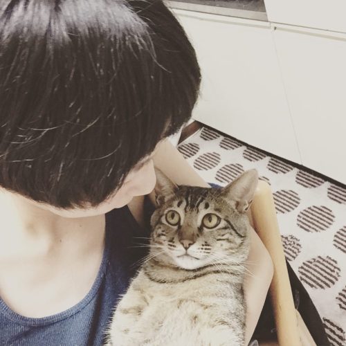 maruoto: 今日はこっち見てる #cat #cats #catgram #nya #neko #ilovecat #猫 #ねこ #ちいた1507
