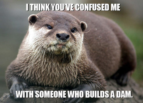 srsfunny:  Must have been some otter guy…http://srsfunny.tumblr.com/  Ghahahahahaha!  XD