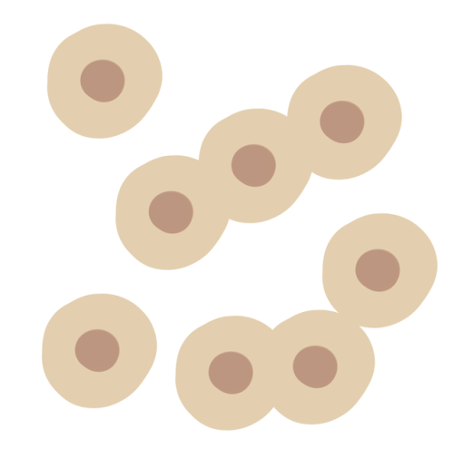 look it’s a bunch of cookies or cells or something!  definitely not tits