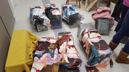 darkseid:so some local comic book shop accidentally had a shitload of anime girl…. tapestries (I gue
