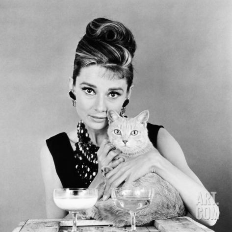 i-am-thefox-deactivated20200224:Audrey Hepburn is known for her love of cats ❣❣❣❣❣