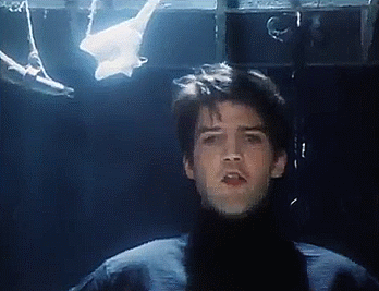 theshivareelady:Lloyd Cole And The Commotions - Perfect Skin (Rattlesnakes,1984)