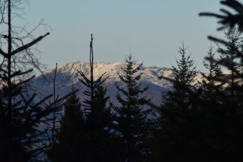 A Magic Winter Day around Dunkeld, ScotlandThe area around Dunkeld is not particularly mountainous, 