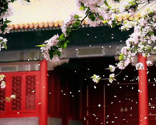 penitencebedamned:guzhuang appreciation month: week 1 - favorite aesthetics
