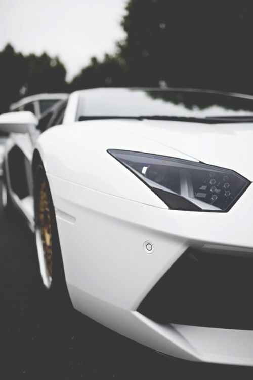 modernambition:   Eye of the Bull | Instagram  