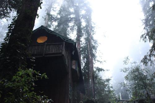 chubbybluntz: opal-october: my little house on a hill in the rainy, foggy pacific northwest winter u