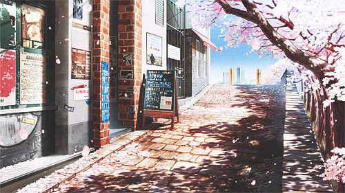 sam2119931: Wow Sakura Flowers!