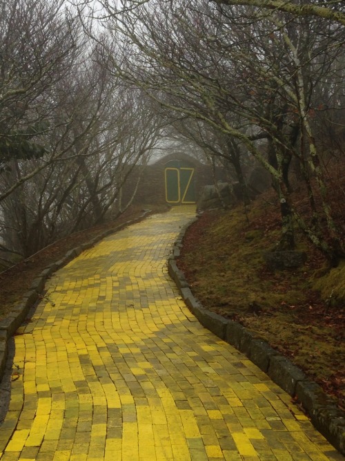 Porn  Abandoned Wizard of Oz theme park, January photos