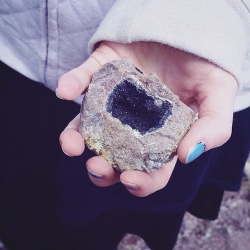 A few minerals and fossils, I found last year. 