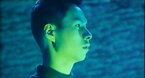 Turtle Vision (HIsayasu Sato, 1991)