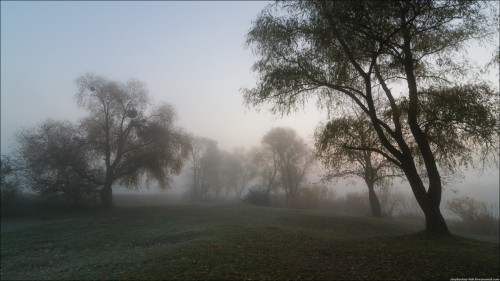 XXX magic-spelldust:  Сергей Степаненко photo