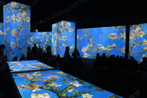 love:“Almond Blossoms" Vincent Van Gogh, 1890. This painting came to life to celebrate the arri