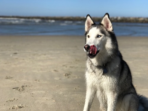 First time at the beach was rad